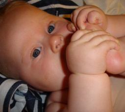 6 months old baby