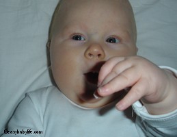 baby sign language