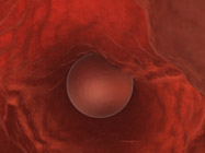 4 weeks pregnant implantation