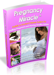 Pregnancy Miracle Ebook
