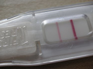 4 weeks pregnant