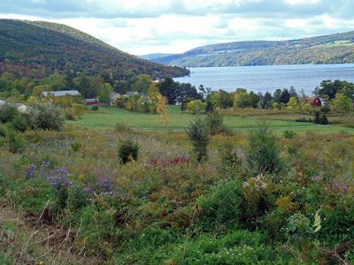 Canandagua Lake