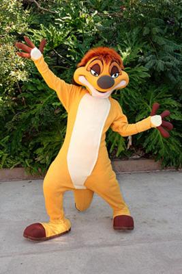Timon Says Hi - Animal Kingdom