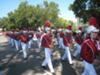 Naperville Parade