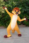 Timon Says Hi - Animal Kingdom
