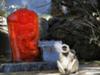 Monkey By Monkey Statue