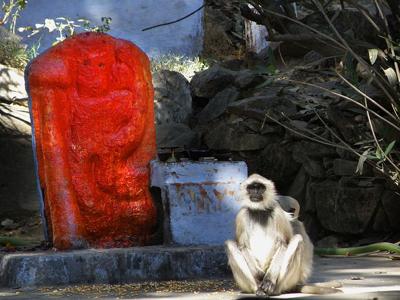 Monkey By Monkey Statue
