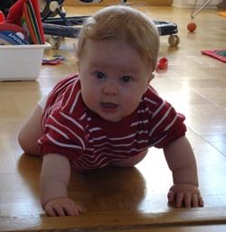 8-month-old baby crawls