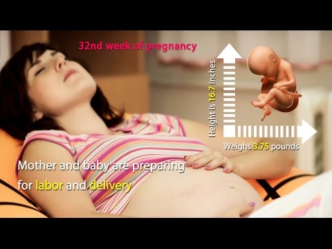 32 Weeks Pregnant: See the Amazing Growth of Your Baby