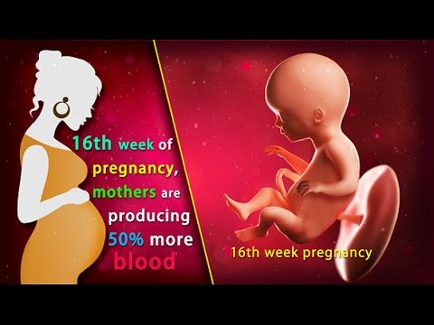 16 Weeks Pregnant: What&#039;s Happening in 16th Week of Pregnancy?