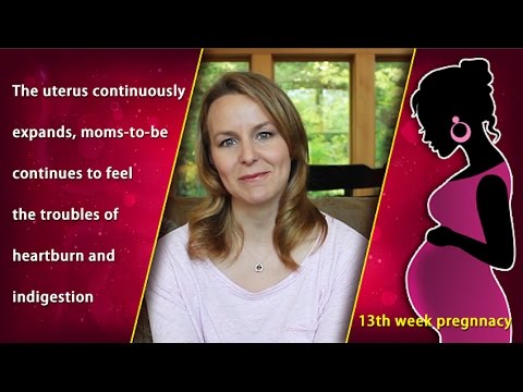 13 Weeks Pregnant: Watch the Growth of Your Baby