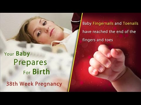 38 Weeks Pregnant: Your Pregnancy Has Reached Full-Term