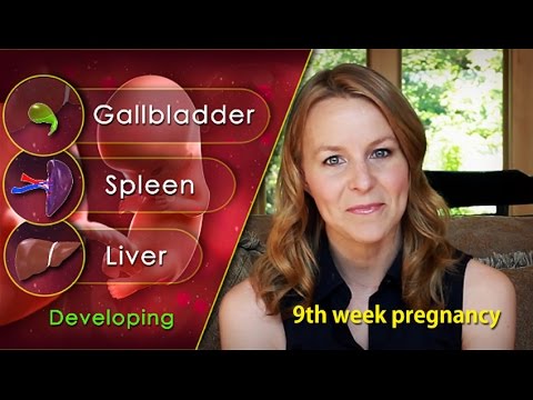 9 Weeks Pregnant: Understand Surprising Growth of Your Fetus!