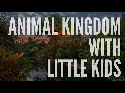 Animal Kingdom with Little Kids: It&#039;s More Than Just a Zoo