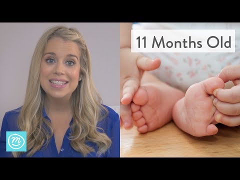 11 Months Old: What to Expect - Channel Mum