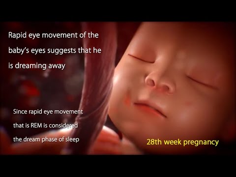 28 Weeks Pregnant: Watch Your Baby&#039;s Movement in 28 Week Pregnancy