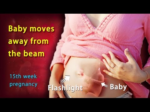 15 Weeks Pregnant: A Complete Guide on 15th Week of Pregnancy