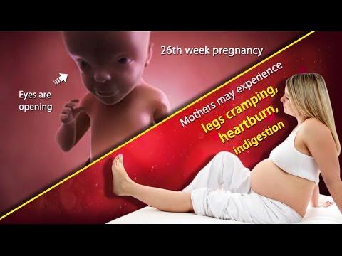 26 Weeks Pregnant: What is Happening in 26th Week of Pregnancy?