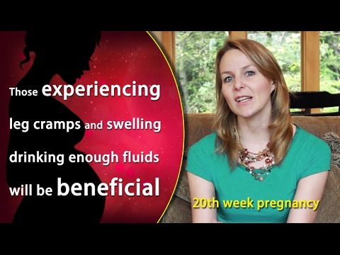 20 Weeks Pregnant: Learn About Your Baby&#039;s Development