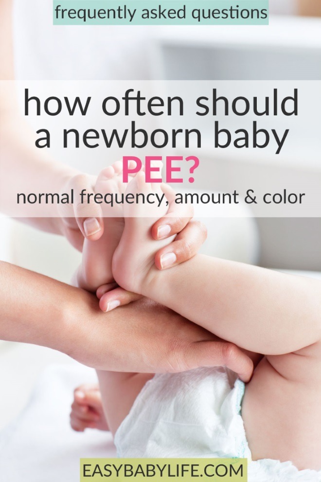 how often should a newborn pee