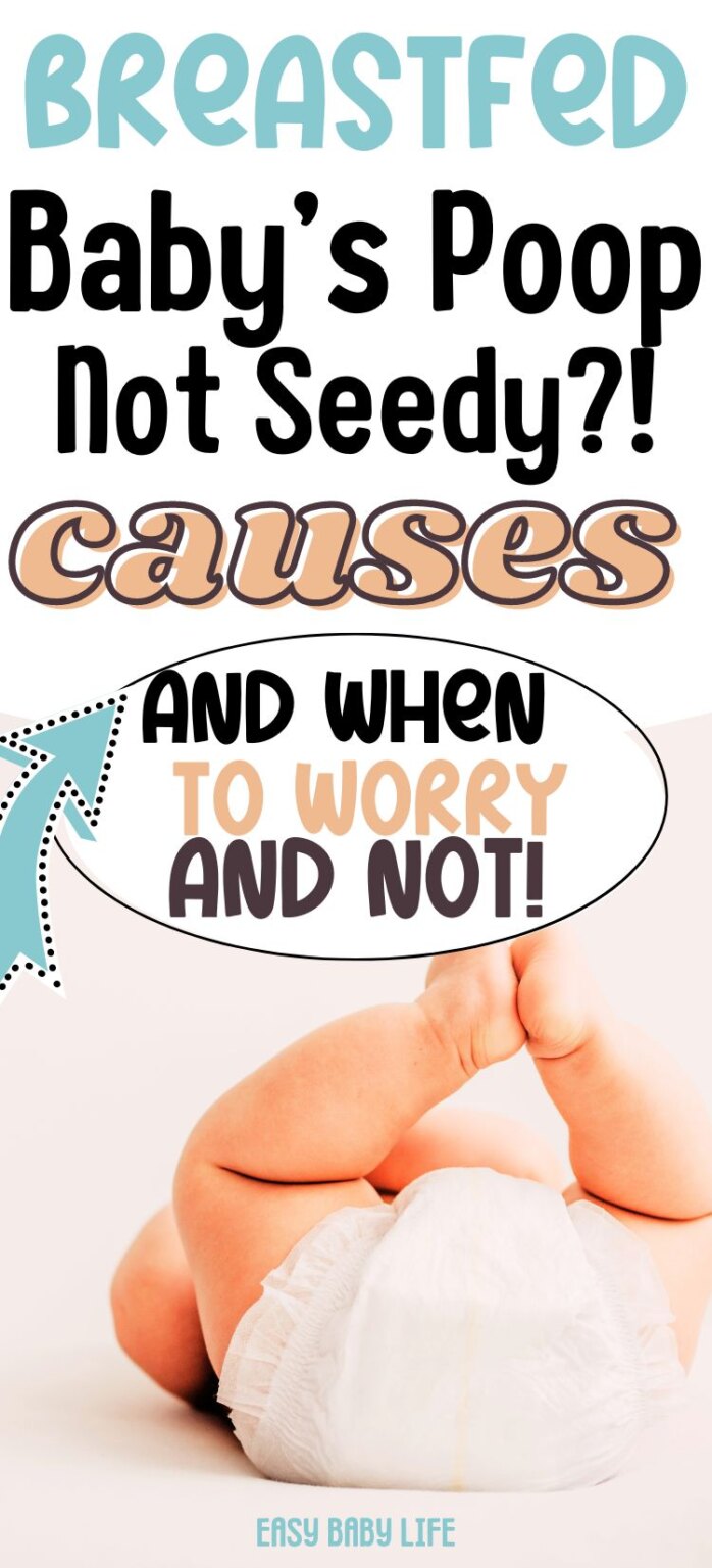 Breastfed Baby Poop is NOT Seedy!? Why and Should I Worry?