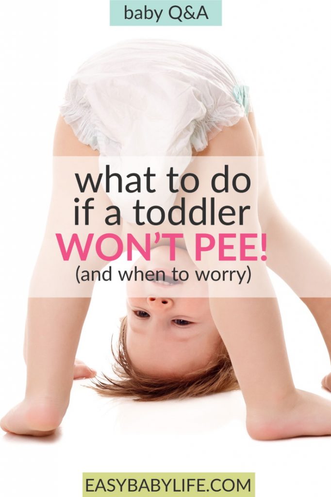 toddler not urinating Easy Baby Life