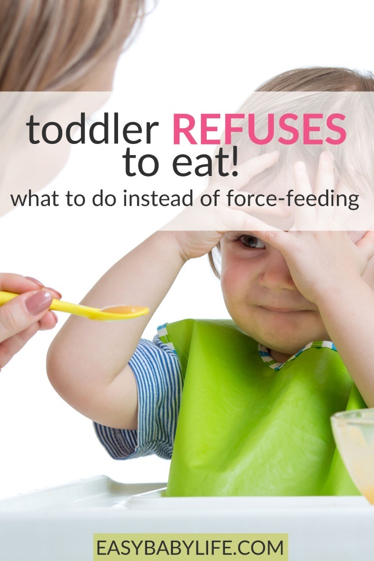 toddler refuses to eat