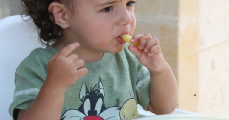 Read more about the article 7 Tips If Your Toddler Stopped Eating; Choose Fun over Fight!