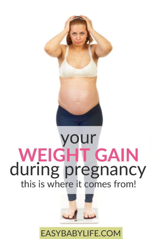 pregnancy weight by week
