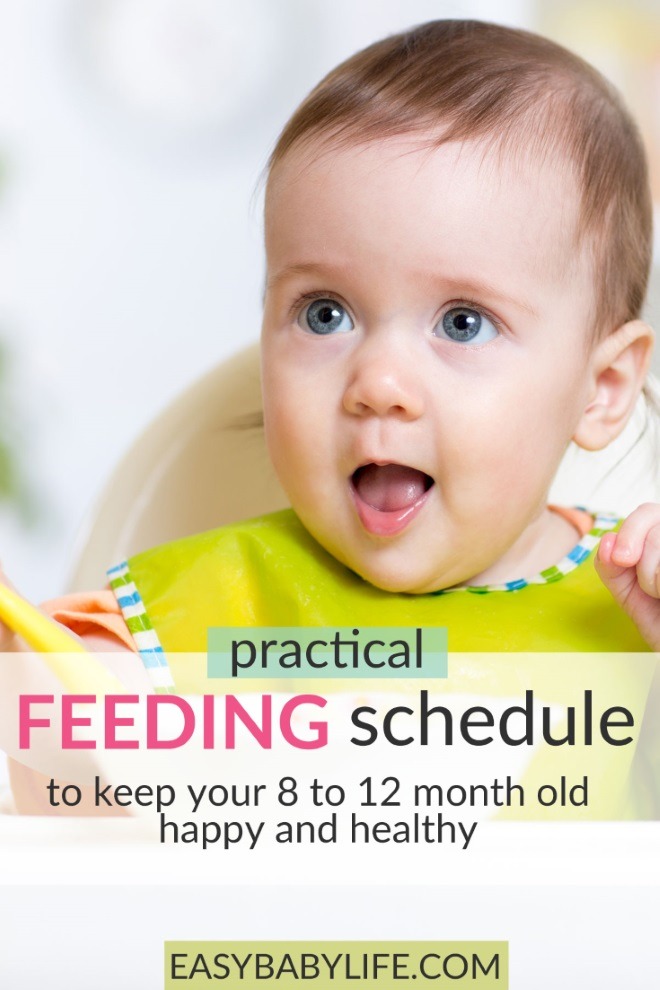 baby feeding schedule 8-12 month old baby