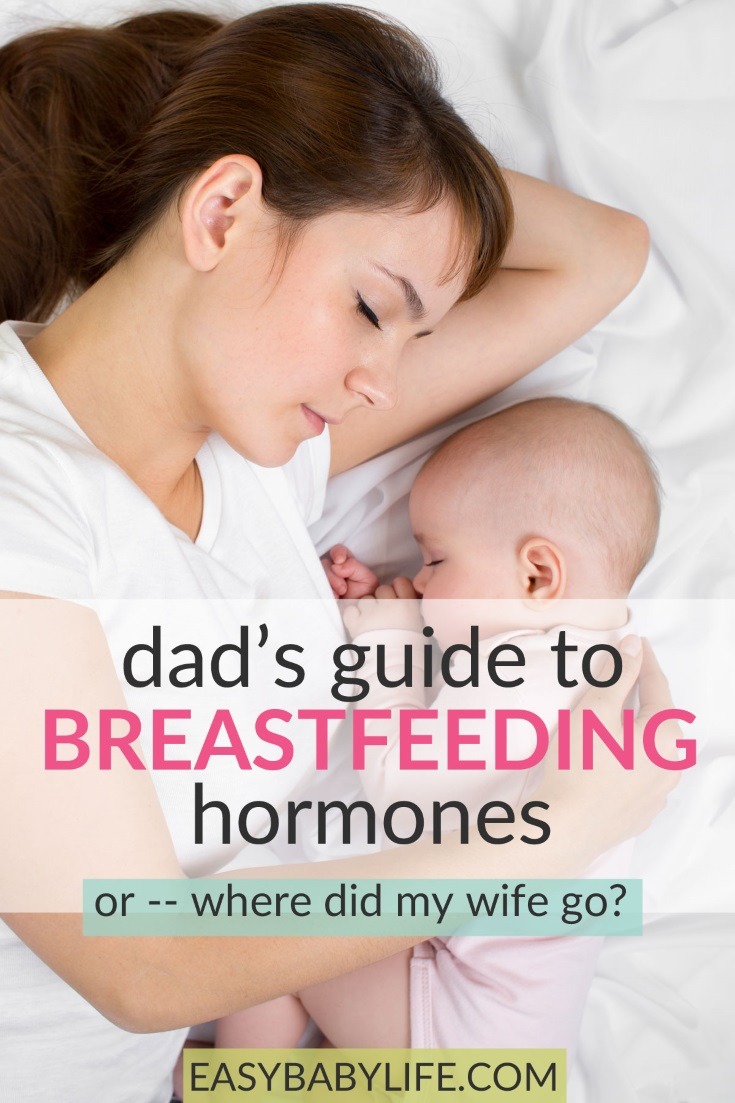 All About The Breastfeeding Hormones Dad S Guide Or Where Did My Wife Go