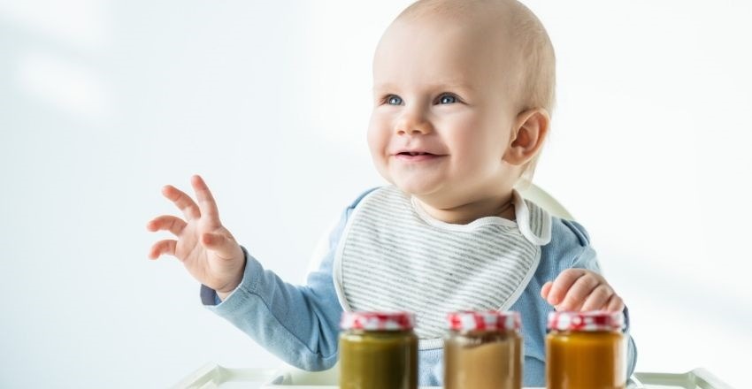 baby food recipe books