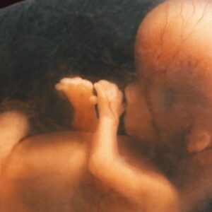 5 Amazing Fetal Development Videos That Moved Me To Tears