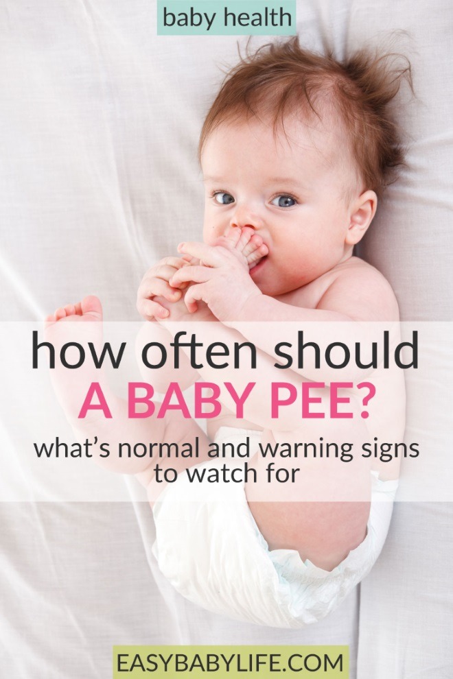 how often should a baby pee