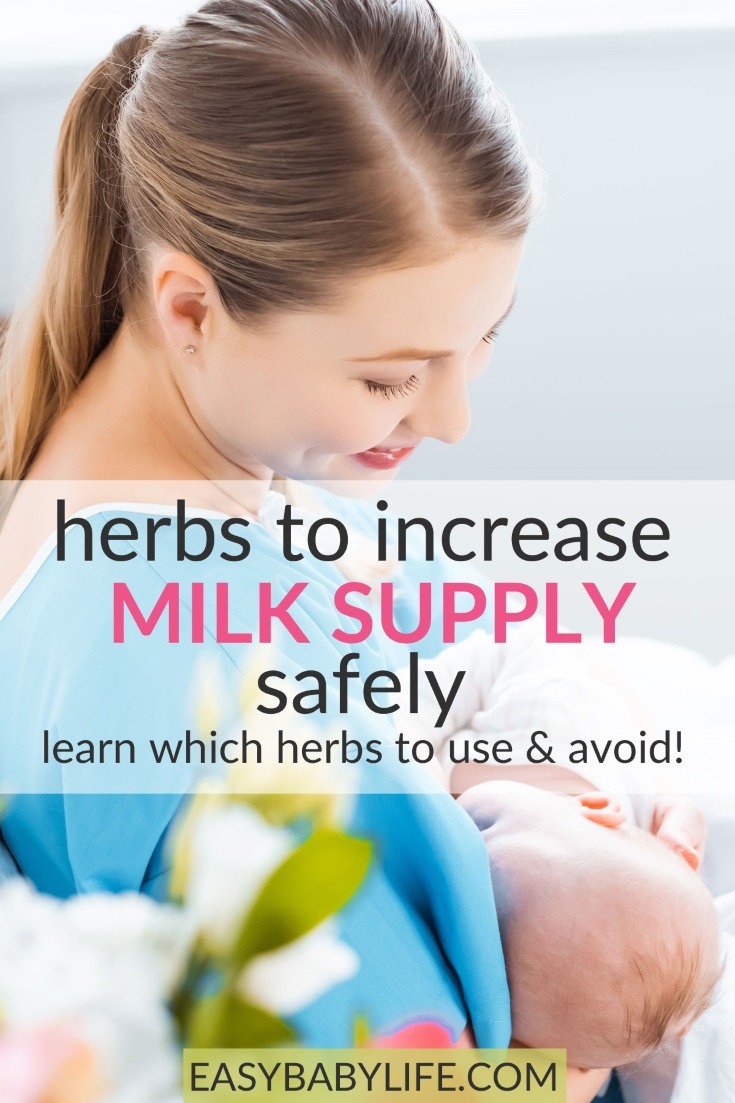 herbs to increase milk supply