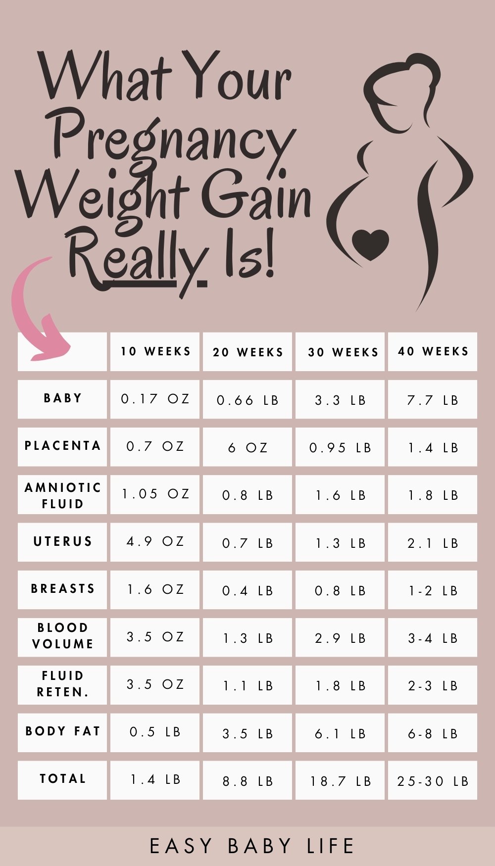 The Weight Gain During Pregnancy: A Fascinating Breakdown