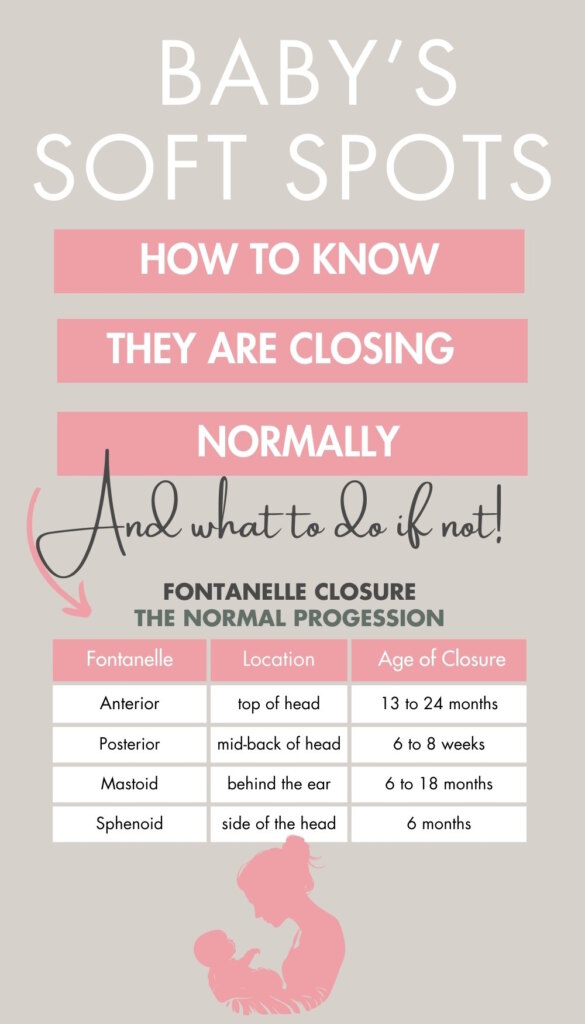 baby fontanels infographic