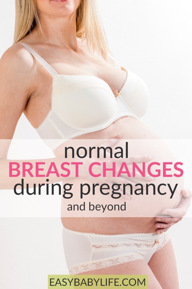 breast changes during pregnancy