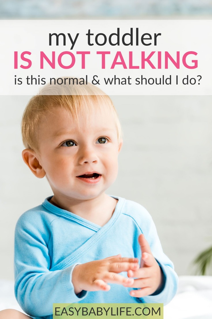 21-Month-Old Toddler Is Not Talking 