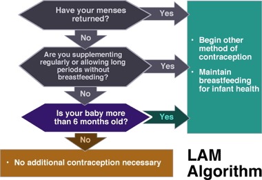 when to use LAM for birth control and not