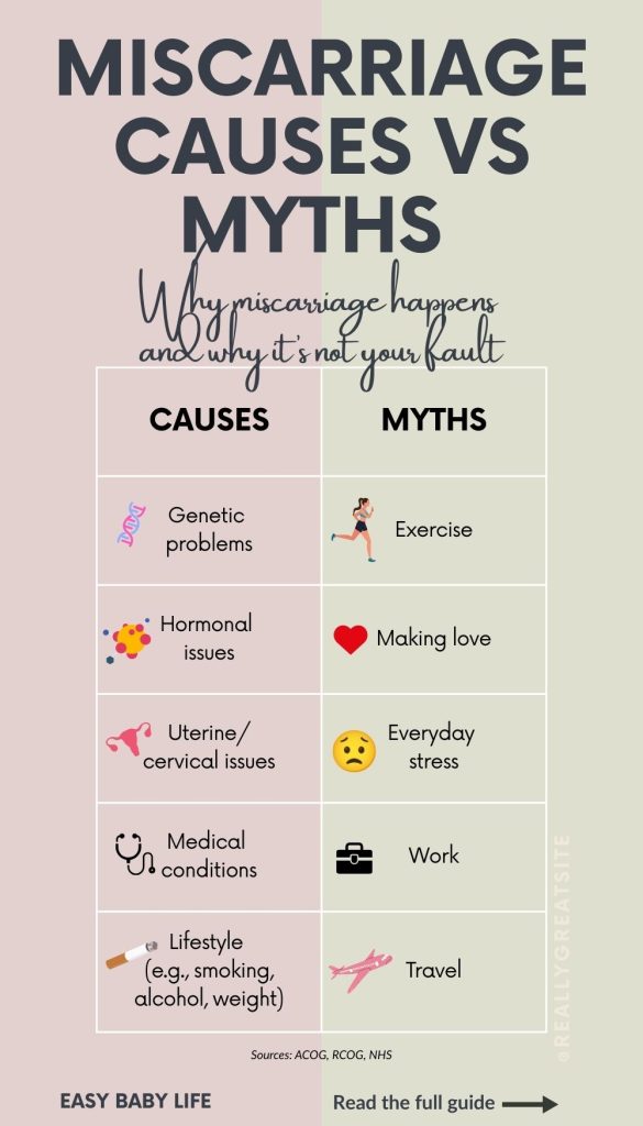 what can cause a miscarriage vs myths according to research (infographic)
