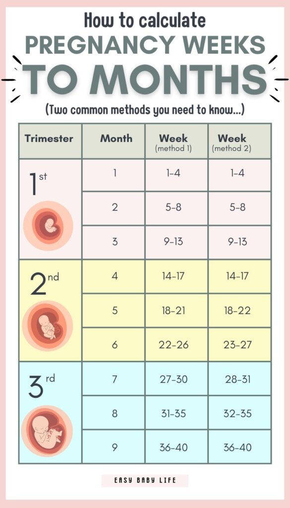 pregnancy weeks to months chart