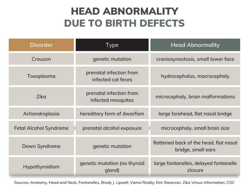 abnormal baby head shape due to birth defects