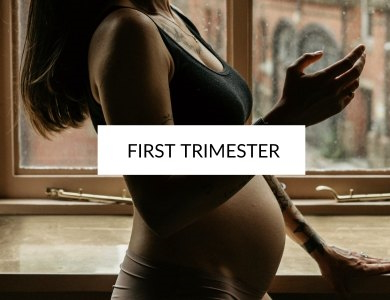 first trimester information