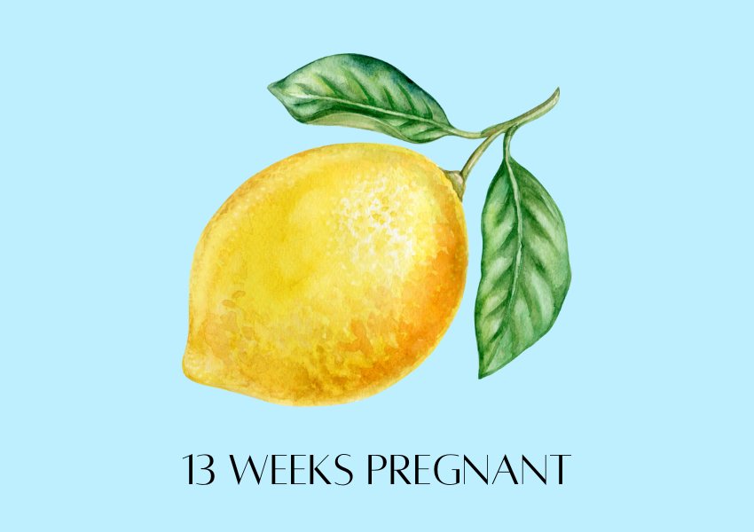 baby fruit size pregnancy week 13 lemon