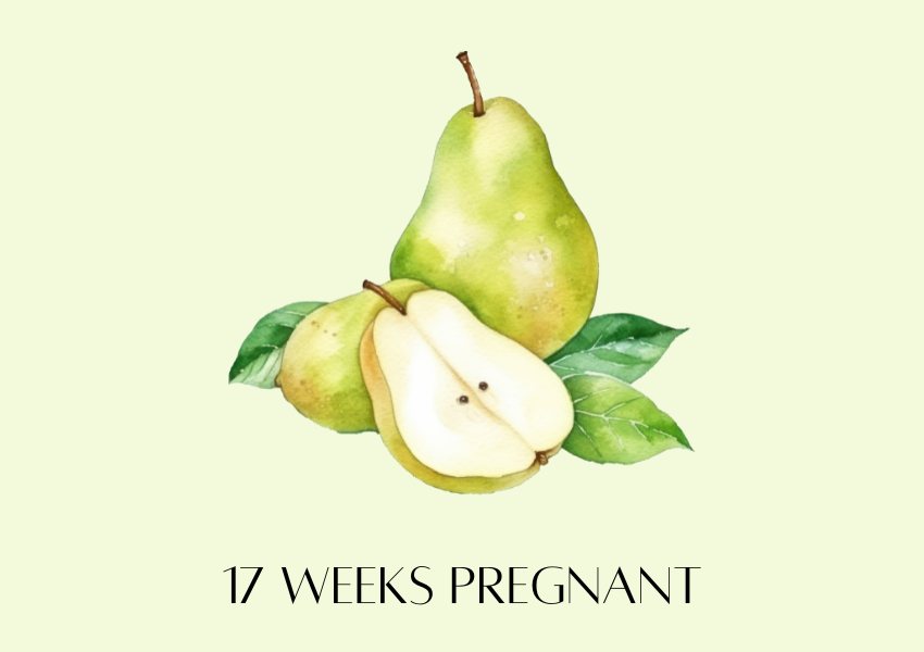 baby fruit size pregnancy week 17 pear