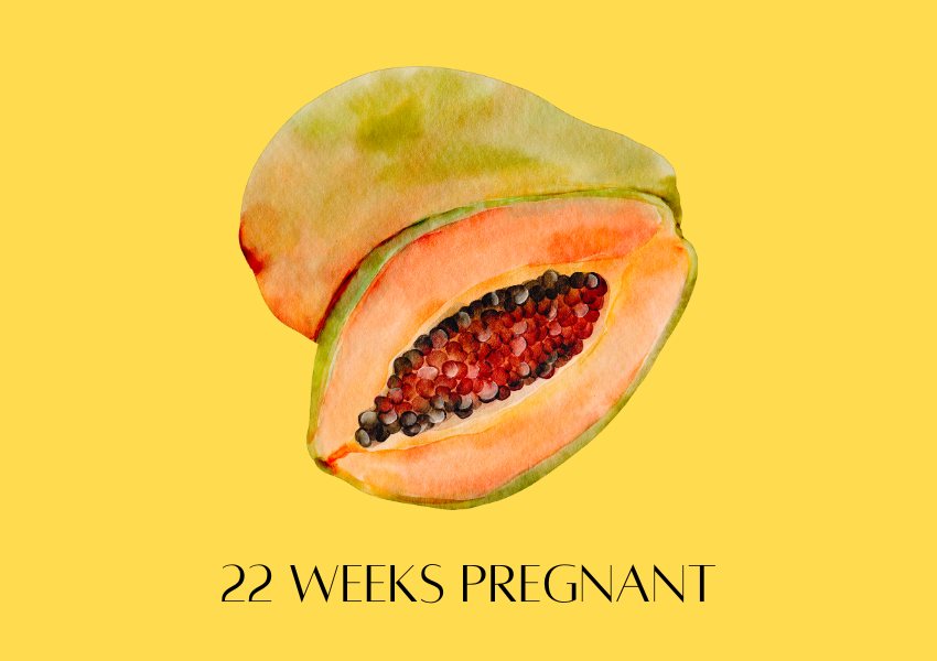 baby fruit size pregnancy week 22 papaya