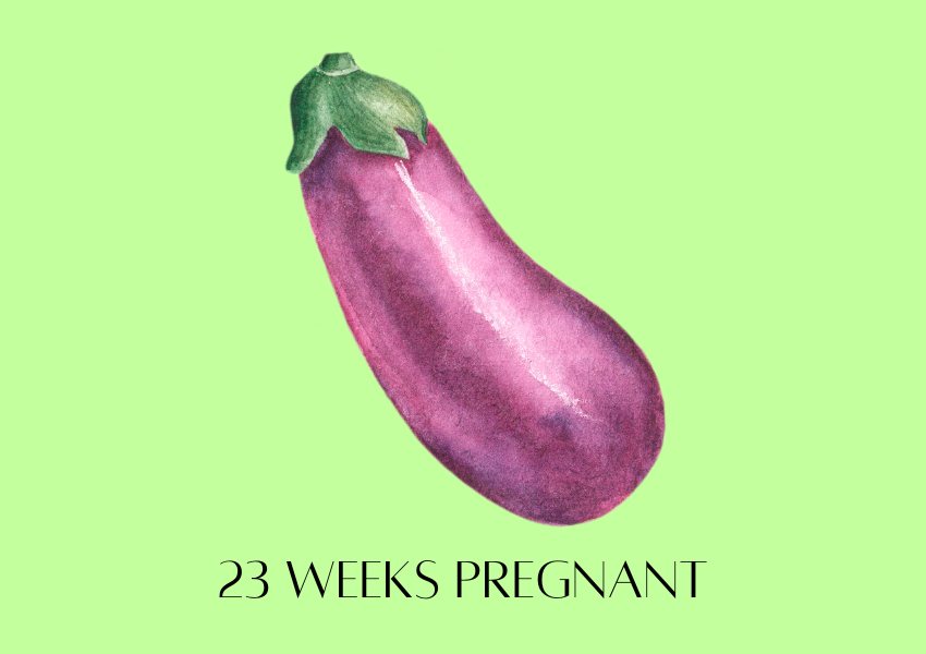 baby fruit size pregnancy week 23 eggplant