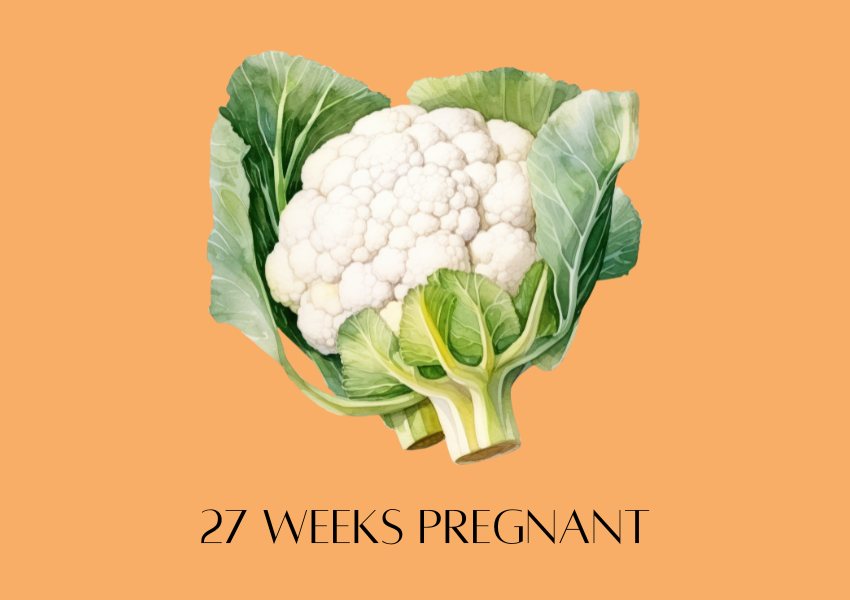 baby fruit size pregnancy week 27 cauliflower