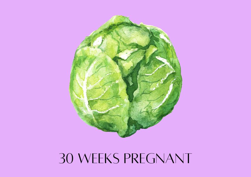 baby fruit size pregnancy week 30 cabbage